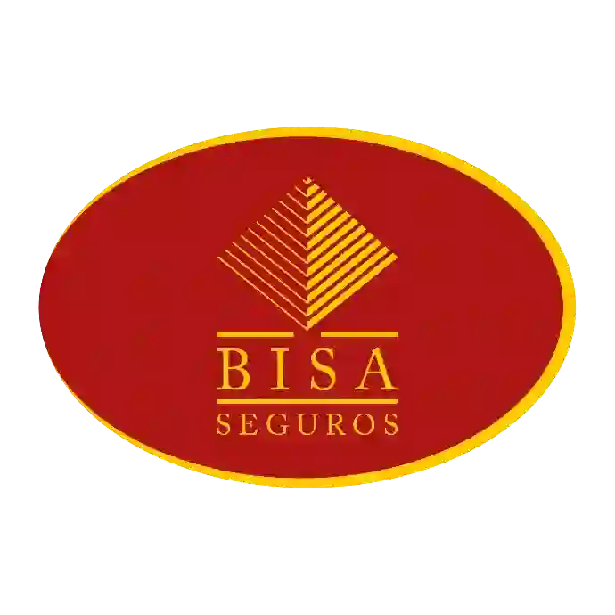 Bisa
